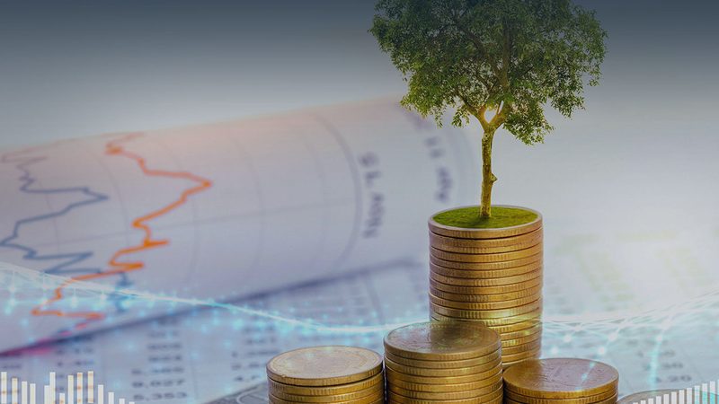 企业薪酬绩效体系搭建：揭秘构建高效激励机制的五大步骤